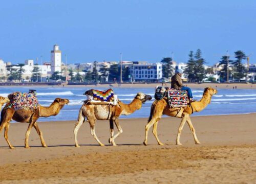 morocco best attractions, from marrakech to essaouira day trip