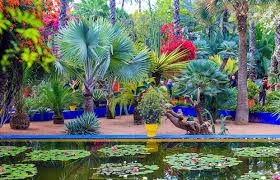 Best Marrakech tour guide | Private Tour Guide